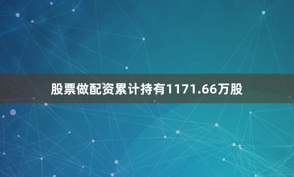 股票做配资累计持有1171.66万股