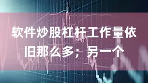 软件炒股杠杆工作量依旧那么多；另一个