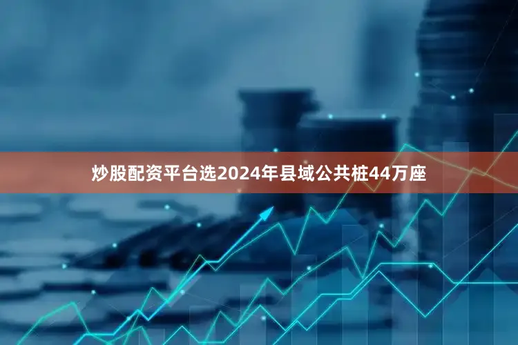 炒股配资平台选2024年县域公共桩44万座