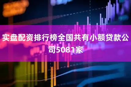 实盘配资排行榜全国共有小额贷款公司5081家