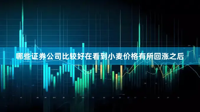 哪些证券公司比较好在看到小麦价格有所回涨之后