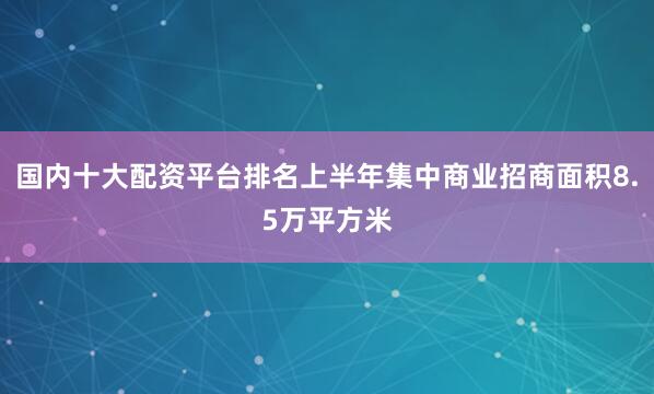 国内十大配资平台排名上半年集中商业招商面积8.5万平方米